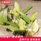 **批发鲜花 百合鲜切花花束 纸箱包装婚礼送礼鲜花百合花卉